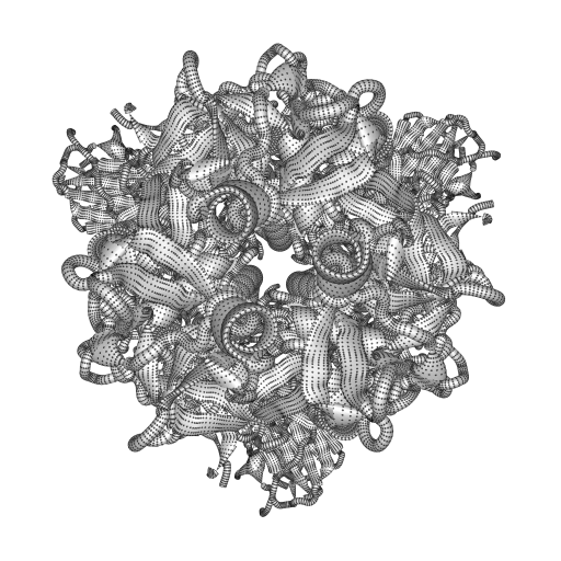 Spike Protein - End View